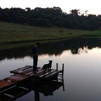 LA_Fernandes
