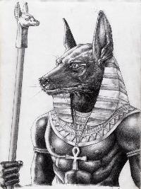 Anubis