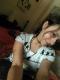 Ardnael